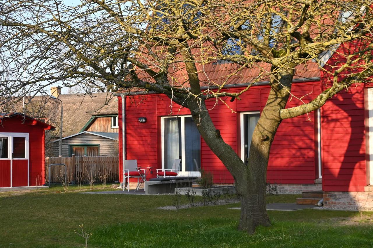 Ferienwohnung Rote Kate Born Exterior photo